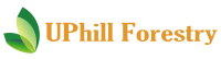 Uphill Forestry